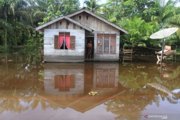 Ratusan rumah terendam banjir di Aceh Barat