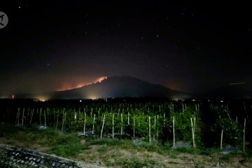 7 warga negara Singapura terjebak kebakaran Gunung Raung