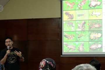 Eksplorasi Nusantara, LIPI identifikasi 150 fauna baru