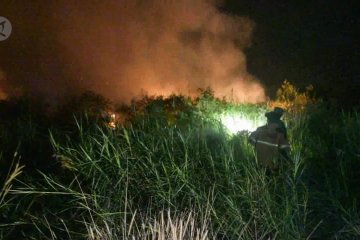 40 hektare lahan di pinggir Pekanbaru ludes terbakar