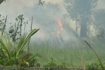 Pemadaman titik api difokuskan di Ogan Komering Ilir