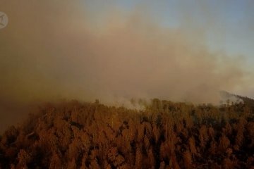 Kebakaran hutan Gunung Ijen capai 300 hektar lebih