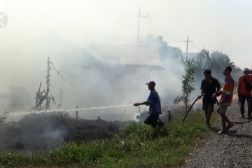 Ratusan hektare lahan pertanian di Kalsel terbakar