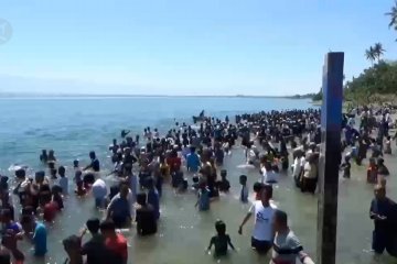 Ribuan warga Palu mandi safar untuk tolak bala