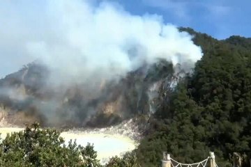 Kebakaran di Kawah Putih Ciwidey capai 15 hektare