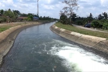 Pemprov Kalsel bangun pintu aliran irigasi cegah karhutla