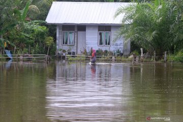 Banjir di Aceh Barat meluas