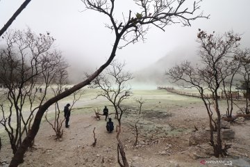 Kawasan wisata Kawah Putih kembali dibuka untuk umum