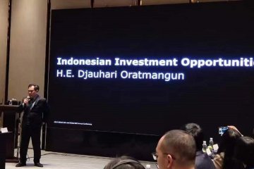 Dubes RI ingatkan investor China gandeng mitra yang tepat