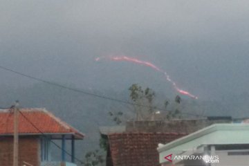 BBKSDA identifikasi  kebakaran hutan di Gunung Guntur Garut