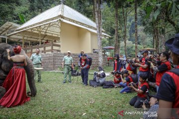 Taman Safari siapkan puncak acara lomba foto satwa IAPC 2019 di Bogor