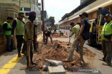 Pohon-pohon di trotoar Cikini ditebang, warga keluhkan panas