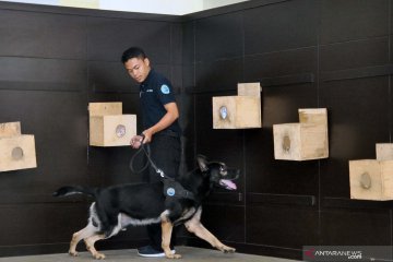 Simulasi untuk anjing pelacak K-9