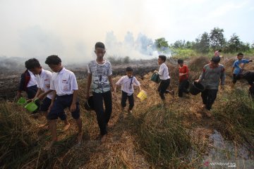 Kebakaran lahan di Barito Kuala