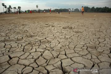 Akibat musim kemarau panjang