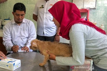 RS Pratama dan Puskesmas Jetis jadi "Rabies Center" di Yogyakarta