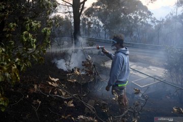 Kebakaran hutan dan lahan di Australia