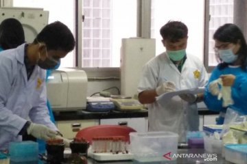 Mentan akan bentuk unit khusus tanggulangi virus Demam Babi Afrika