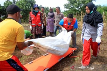 PMI evakuasi kerangka manusia diduga korban tsunami
