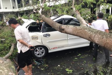 Puluhan pohon tumbang di pusat pemerintahan Banten akibat hujan angin