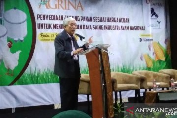 Bungaran sebut penyebab rendahnya daya saing industri unggas