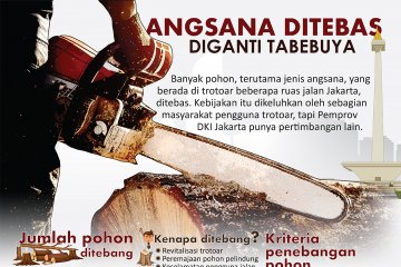 Angsana ditebas diganti Tabebuya