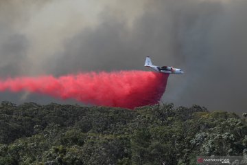 Petugas pemadam kebakaran  Australia Barat kendalikan kebakaran hutan