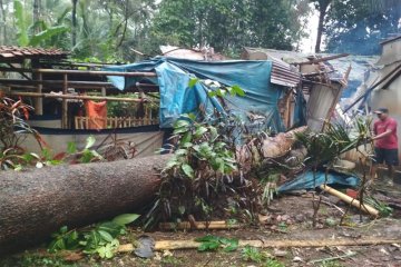 BPBD Banyumas ingatkan warga waspadai angin kencang