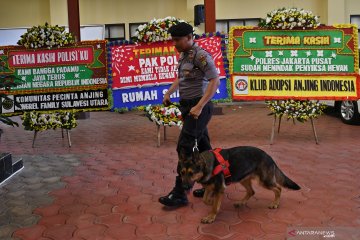 Apresiasi bagi polisi yang berhasil ungkap kasus penyiksaan anjing