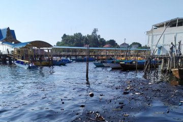 Mulai berkurang pencemaran minyak di Pulau Belakangpadang Batam