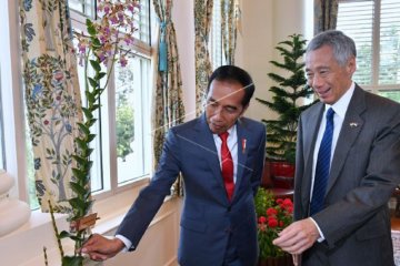 Cuitan @jokowi tunjukkan hubungan dekat dengan negara serumpun