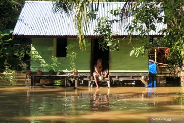 Banjir rendam permukiman warga di Aceh Barat