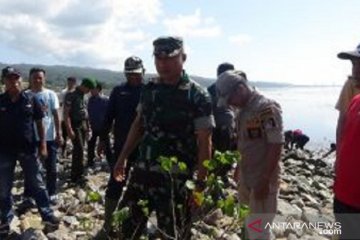 Kodim 1417 prakarsai penanaman mangrove pesisir pantai Kendari