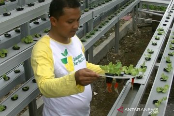 Pemkot Sukabumi optimalkan produksi pangan lokal