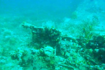 Bangkai pesawat Jepang  ditemukan di Teluk Wondama