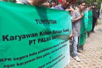 Karyawan Palma Satu demo minta blokir rekening perusahaan dibuka