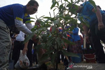 Ruang terbuka hijau Kota Cirebon baru 10 persen