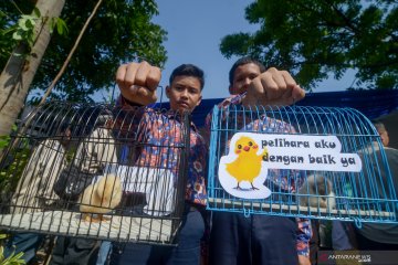 Cegah siswa kecanduan gawai, Pemkot Bandung bagikan anak ayam