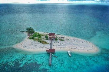 Lantamal VI akan transplantasi terumbu "Garuda" di dasar laut