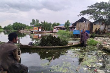 Ikan di Perairan Belawan layak dikonsumsi sesuai uji lab, sebut HNSI