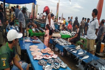 Tak khawatir tercemar merkuri, warga Jayapura bisa konsumsi ikan lagi