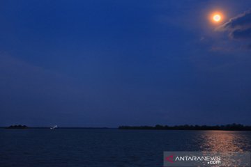 Rembulan di Muara Pegah, Delta Mahakam