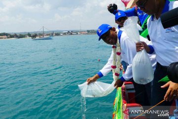 "Rokat Tasek" Desa Pasongsongan ganti sesaji dengan tabur benih ikan