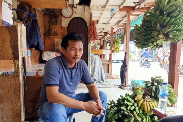 Camat Pulogadung: Tidak ada alasan pedagang pisang tolak relokasi