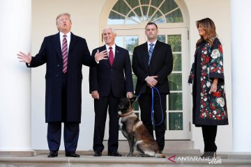 Trump sambut Conan, anjing pahlawan dalam penyerbuan pemimpin ISIS