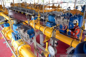 Pemanfaatan gas bumi untuk listrik di Lampung