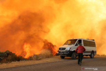 Trump umumkan deklarasi bencana besar atas kebakaran hutan California