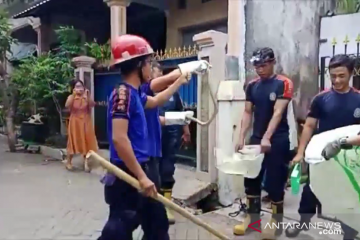 Puluhan ular kobra masuk ke perumahan warga Jember