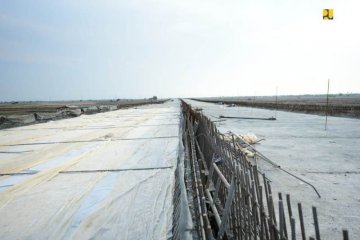 PUPR: Konstruksi layang tol Pelabuhan Patimban lindungi areal sawah