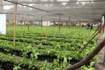 Petani Kalteng kembali terima bantuan BUN 500